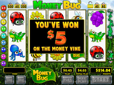 Money Bug